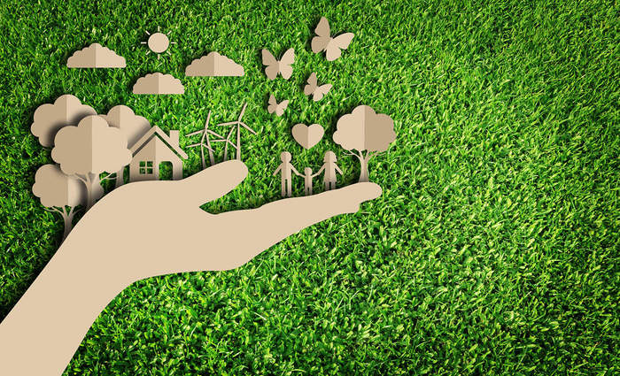 Jannie Guimaraes Consultoria Ambiental Ltda